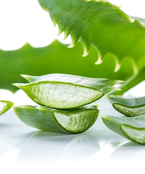 Aloe-Vera-Gel-3 Aloe-Vera-Gel-3